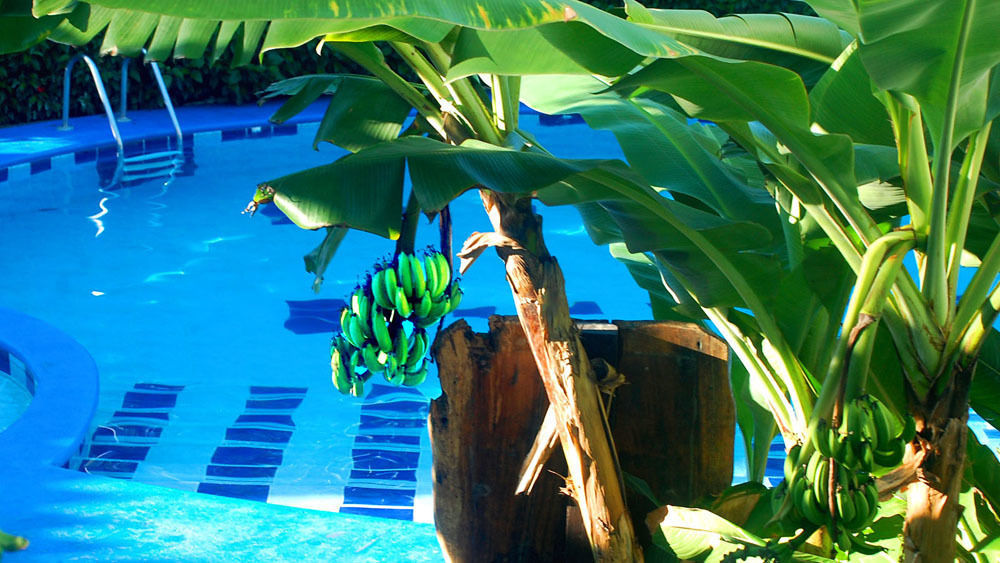Hotel South Beach - Beachfront ฆาโก ภายนอก รูปภาพ